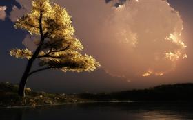 A thinking place